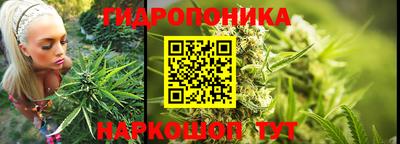 скорость Лесосибирск