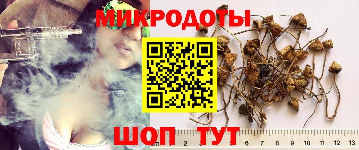 Екатеринбург  закладки  Вход с VPN  Псилоцибиновые грибы мицелий 