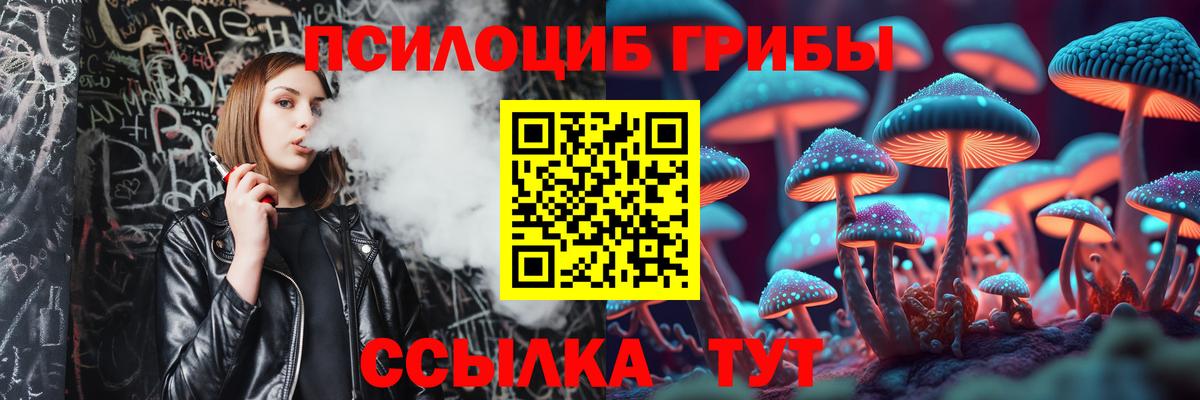 Псилоцибиновые грибы MAGIC MUSHROOMS Екатеринбург